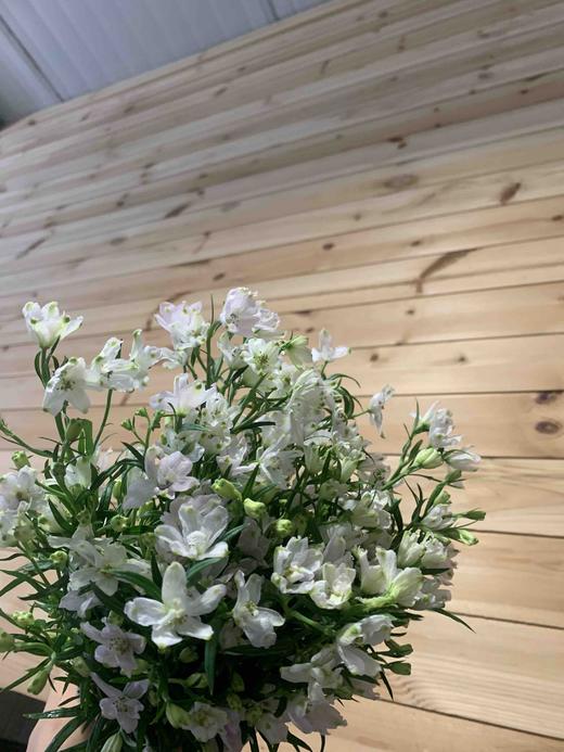 小飞燕 商品图4