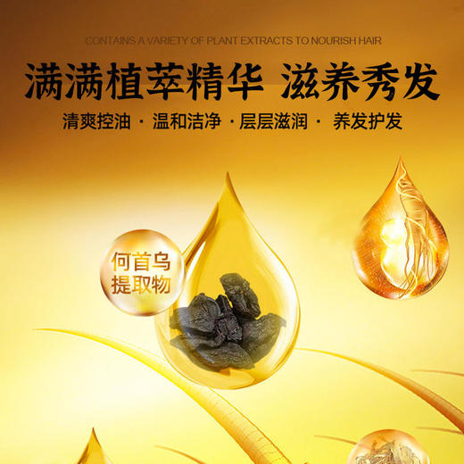 【买1送1，多买多送】南京同仁堂绿金家园何首乌植萃润养洗发水 养发护发  310ml/瓶 商品图2