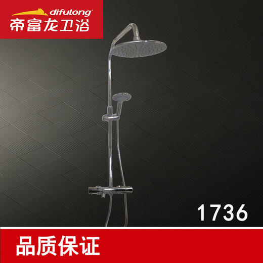 帝富龙 恒温 花洒 1736 商品图0