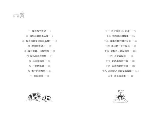 我家没有英雄   四年级正版现货速发|名师推荐|小学生课外阅读4年级 商品图3