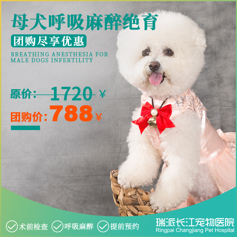 母犬绝育套餐，需提前1-3天预约