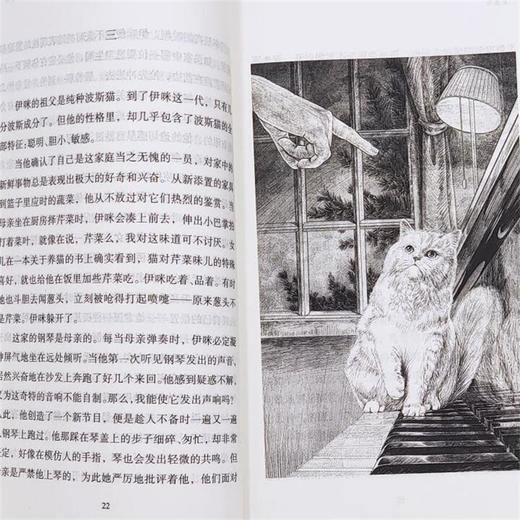 红屋顶   六年级正版现货速发|名师推荐|小学生课外阅读6年级 商品图1