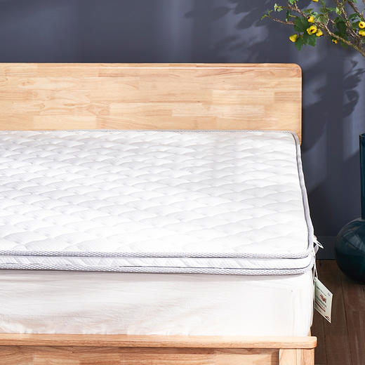 【远梦】乳胶椰棕舒脊床垫-5cm 商品图1