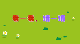 2021年8月动画 看一看 猜一猜