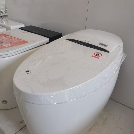 帝富龙 标配 智能马桶  哈雷坐便器B   特价 商品图1