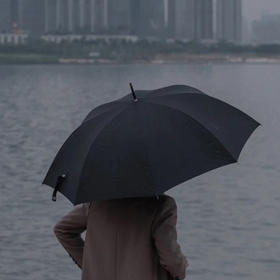 设计师品牌晴雨伞雨伞 迷你糖果伞 抗风大雨伞 插画儿童伞 清仓不退不换