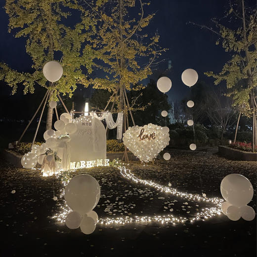 【星空之恋】鲜花气球求婚布置 商品图0