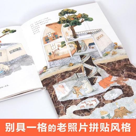 大熊的信箱   二年级正版现货速发|名师推荐|小学生课外阅读2年级 商品图1