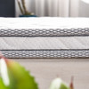 【远梦】乳胶椰棕舒脊床垫-5cm 商品缩略图4
