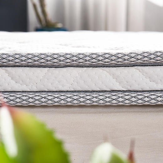 【远梦】乳胶椰棕舒脊床垫-5cm 商品图4