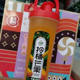 动康拎桶芒果汁饮料1.5升