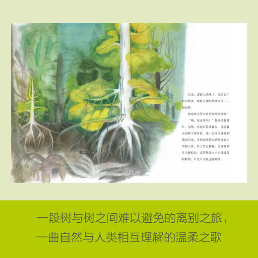 木又寸   二年级正版现货速发|名师推荐|小学生课外阅读2年级 商品图2