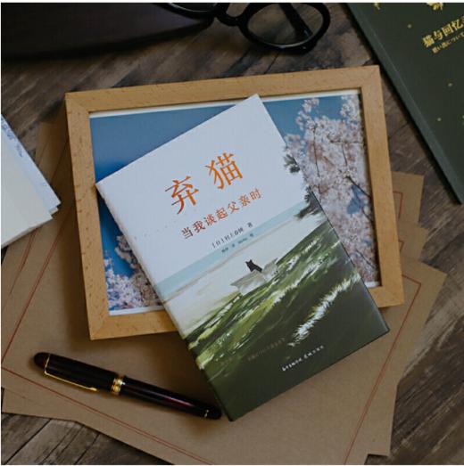 弃猫 当我谈起父亲时 商品图3