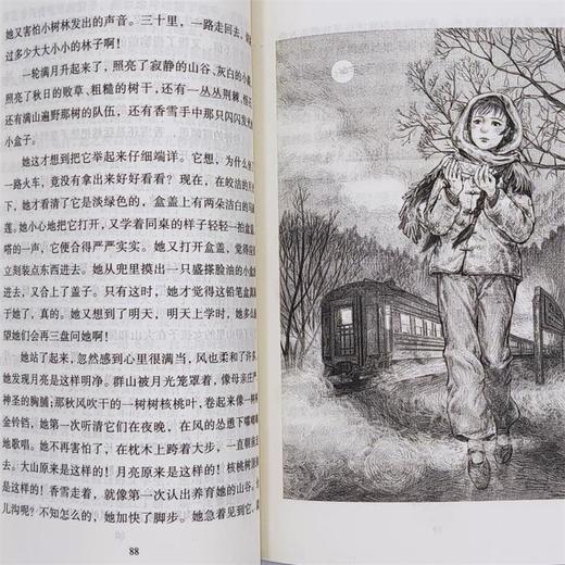 红屋顶   六年级正版现货速发|名师推荐|小学生课外阅读6年级 商品图3