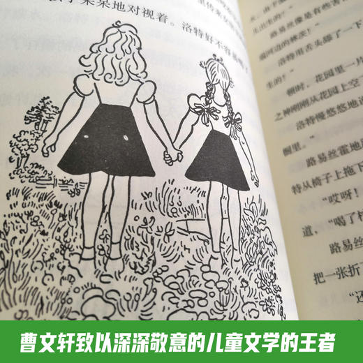 两个小洛特   四年级正版现货速发|名师推荐|小学生课外阅读4年级 商品图2