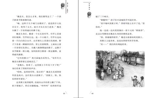 将军胡同   三年级正版现货速发|名师推荐|小学生课外阅读3年级 商品图2