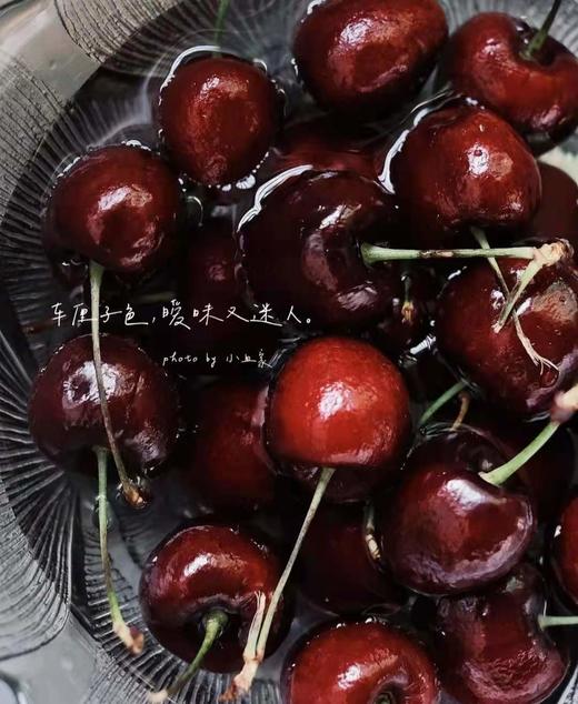 【美国车厘子2斤礼盒装】味道浓郁 美味多汁，很新鲜~ 2斤装 商品图8