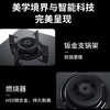 卡萨帝（Casarte）灶具JZT-CG18D2(12T) 商品缩略图9