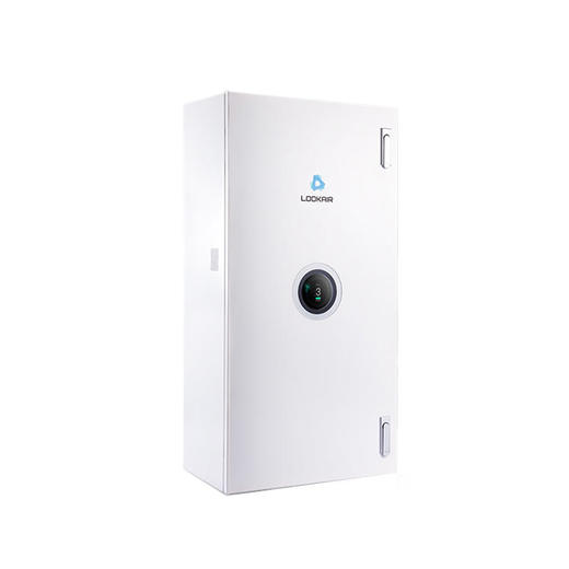 LOOKAIR新风系统壁挂式新风机除雾霾PM2.5甲醛空气净化器全屋换气无需布管[福利品] 商品图0