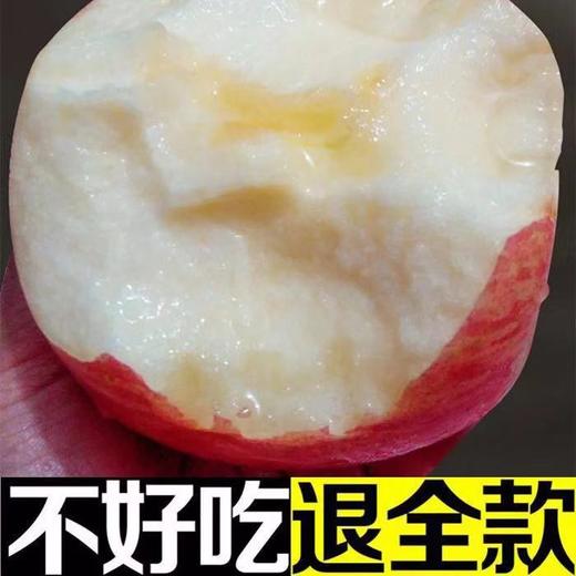 栖霞红富士苹果  2500g/箱*3 商品图4
