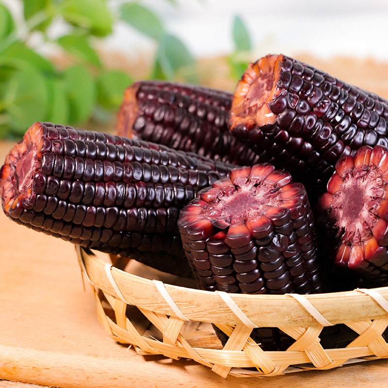 【2025新玉米】山西黑珍珠糯玉米 地标绿色产品 2kg/箱（10根）