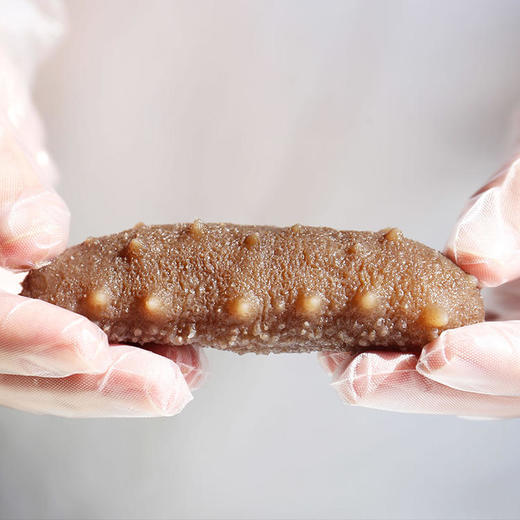 即食野生有机海参 30只 商品图2