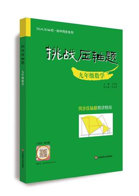 挑战压轴题.九年级数学