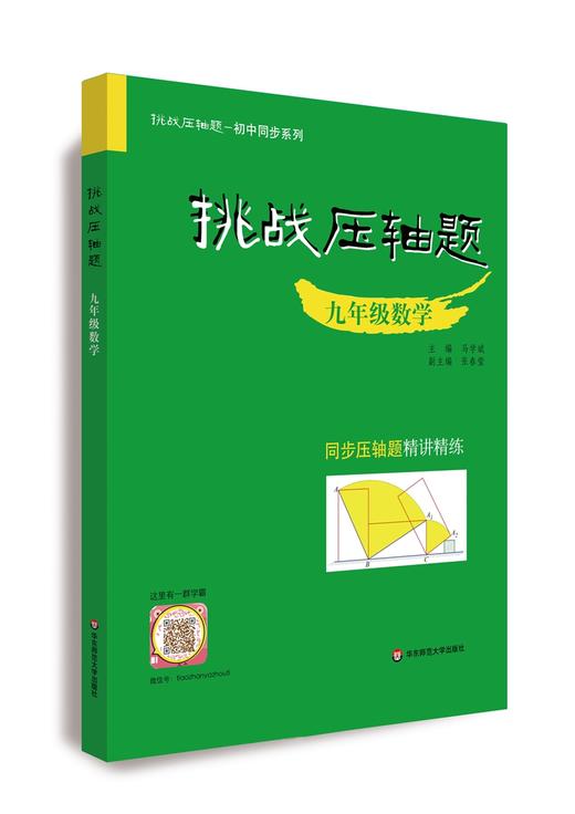 挑战压轴题.九年级数学 商品图0