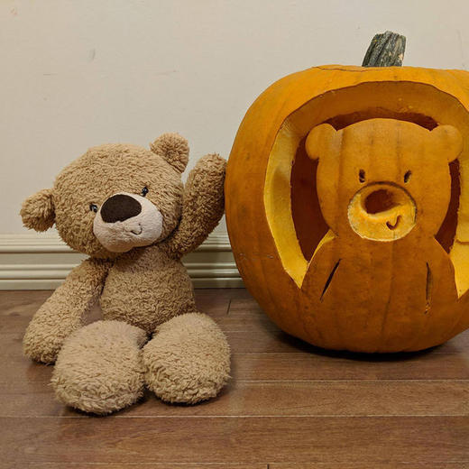 gund美国百年毛绒玩具经典熊系列 商品图4