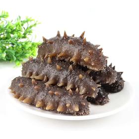 0添加无碱无膨胀剂大号即食速冻海参（辽参）