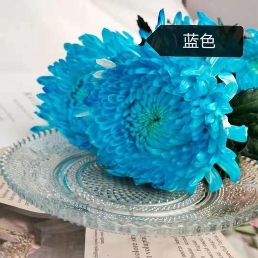 配花-牡丹菊-5枝 商品图3