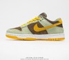 耐克Nike SB Dunk Low扣篮系列复古低帮休闲运动滑板板鞋DH5360-300 商品缩略图7