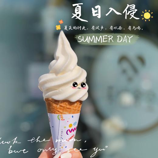 冰淇淋 商品图1