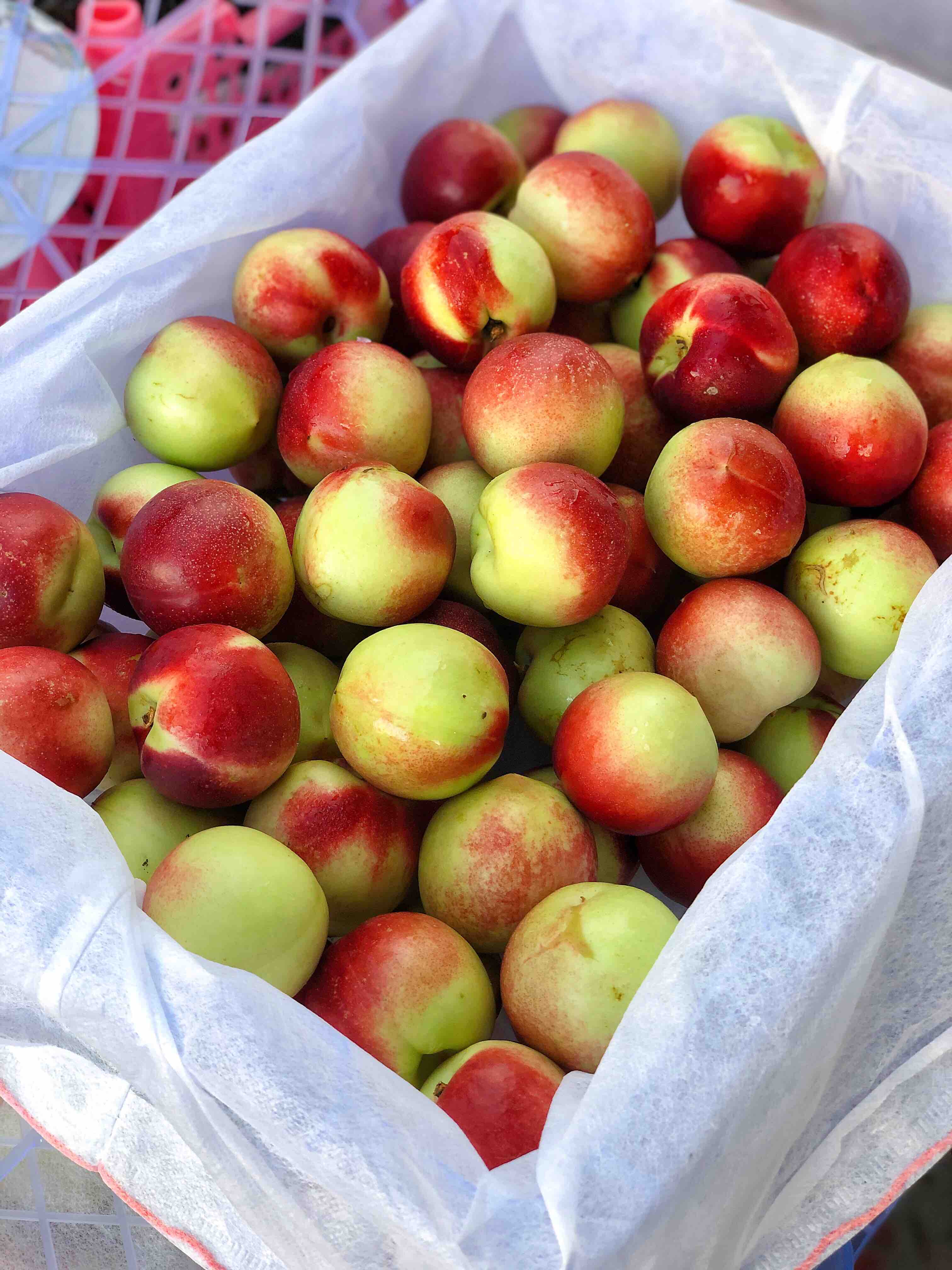 枣桃珍珠枣桃脆甜口感吃口桃味浓青红相间非常好吃的一款小脆桃