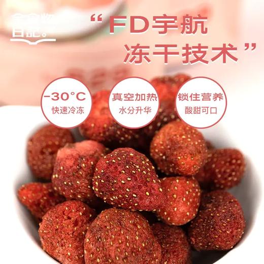 全食物日记 S29冻干草莓20g *4袋 商品图1