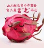 【海南玫瑰香红心·蜜宝火龙果】5-6颗约4斤，口感香甜带有玫瑰香味 商品缩略图4