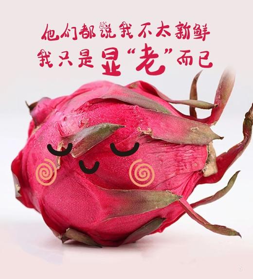 【海南玫瑰香红心·蜜宝火龙果】5-6颗约4斤，口感香甜带有玫瑰香味 商品图4
