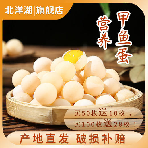 甲鱼蛋食用宝宝辅食新鲜可食生态中华鳖老鳖蛋王八蛋当天现挖 商品图3