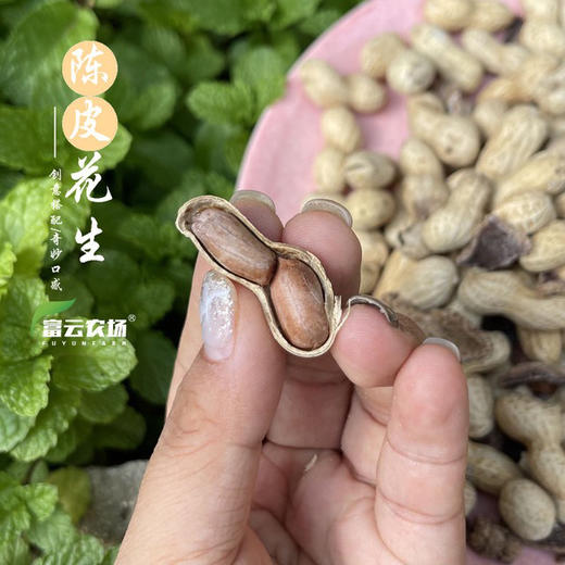 【下单后48小时发货】陈皮花生 450g/袋*2袋 商品图8