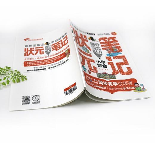 【适合6-12岁】状元满分笔记小学（全7册）赠 同步练习册+视频课 2021新版学霸笔记小升初总复习语文数学英语知识大全国通用 商品图5