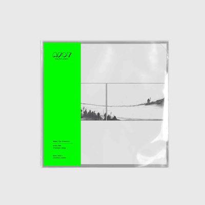 AFDT唱片画『The  Mountain』▏10寸 商品图0