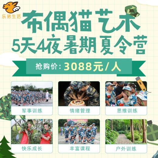 布偶猫艺术暑期夏令营 3088元抢5天4晚儿童情绪管理成长营 专业的师资 人性化的课堂 艺术课程植入文化教育 动静结合 让孩子在轻松愉悦的环境中全面发展 乐猪生活总店