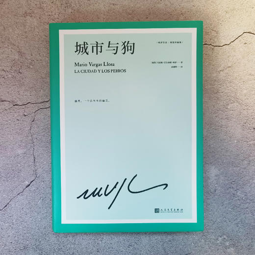 城市与狗 诺贝尔文学奖得主巴尔加斯略萨的成名作与百年孤独跳房子齐名的拉美文学爆炸运动里程碑式小说3000916 商品图2