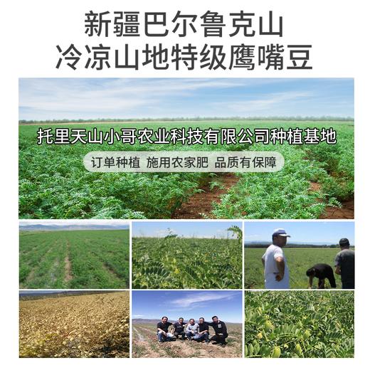 天山小哥金准1号鹰嘴豆胚芽粉300g/盒 商品图1