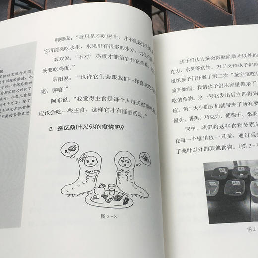 你好，蚕宝宝 幼儿园课程与游戏 商品图4