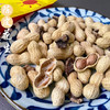 【下单后48小时发货】陈皮花生 450g/袋*2袋 商品缩略图2