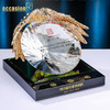 奖杯diy定制水晶纪念定做高档大气荣誉表彰优秀团队奖品老鹰奖牌 商品缩略图2