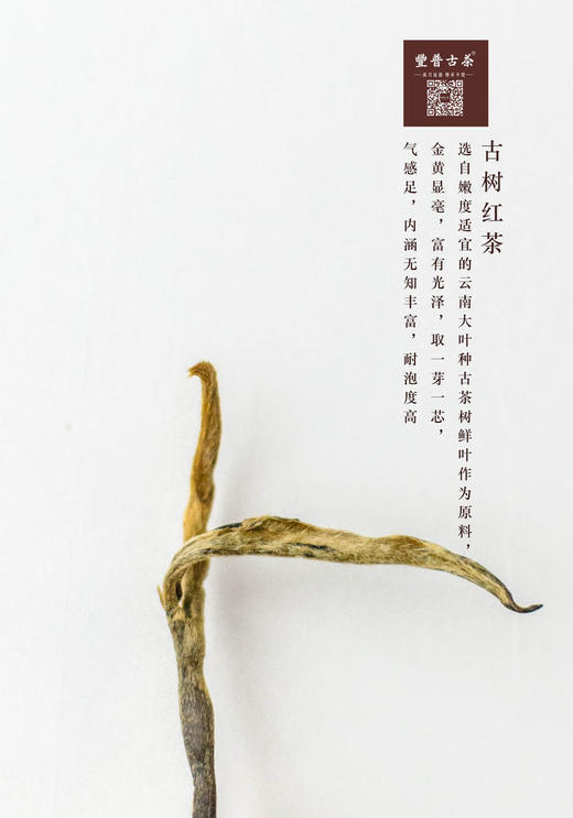 易武红茶（散装500g 密封袋包装） 商品图2