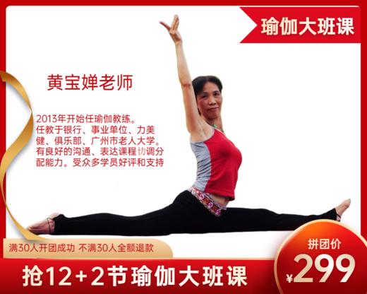 299元拼团抢12+2节【黄宝婵】老师瑜伽大班课 商品图0