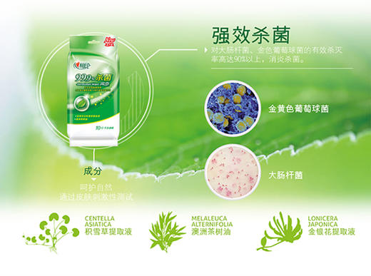 【携手防疫】心相印湿巾纸小包杀菌消毒学生湿纸巾一片单片随身装便携式一次性  36包 商品图2